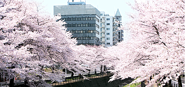 東京都多摩市　社会保険労務士法人　上條・三木事務所